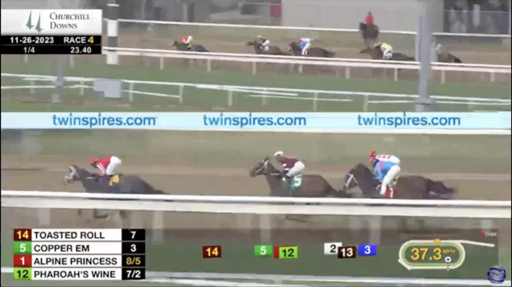 Toasted Roll race replay video Churchill Nov 26 2023